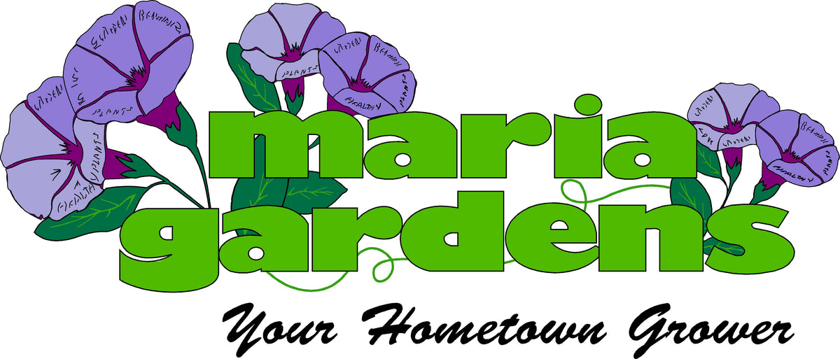 Your Premier Retail Garden Center, Ice Cream Shop and Bulk Delivery – Maria Gardens